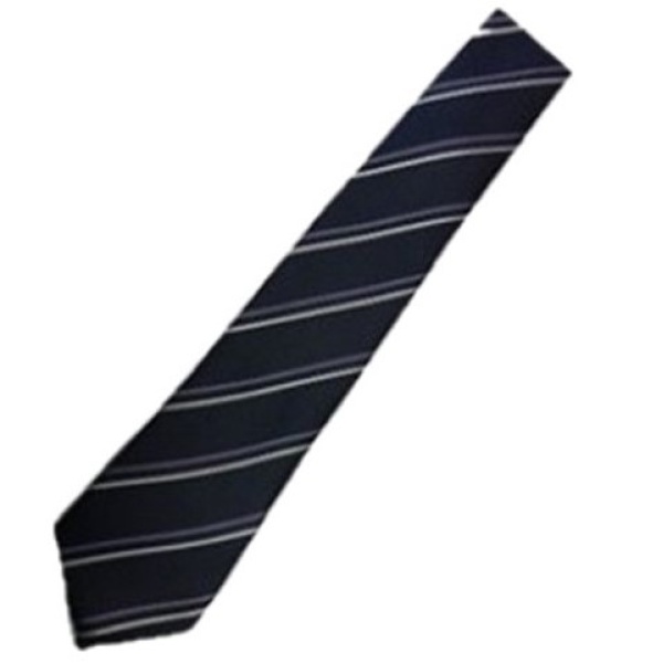 DRAYTON MANOR TIE (YRS 7,8,9 & 10), Drayton Manor High School
